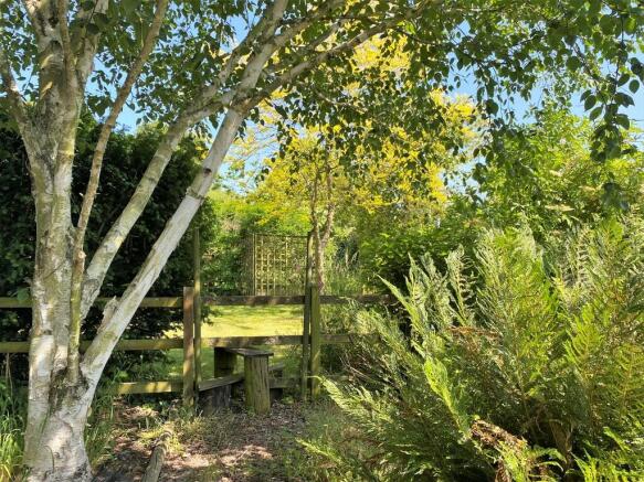 Woodland garden