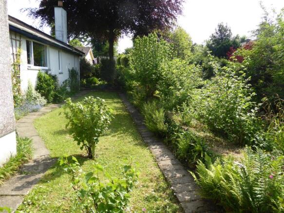 new new rear garden.JPG