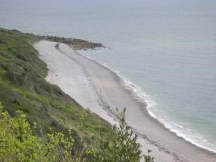 Beach & undercliff