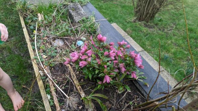 Photo 22