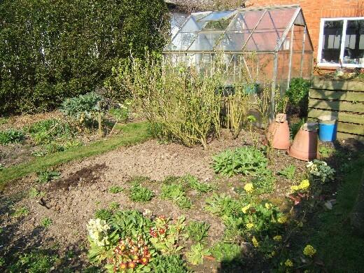 Vegetable Garden