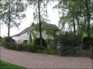 Rear and driveway