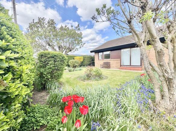 Front garden 2