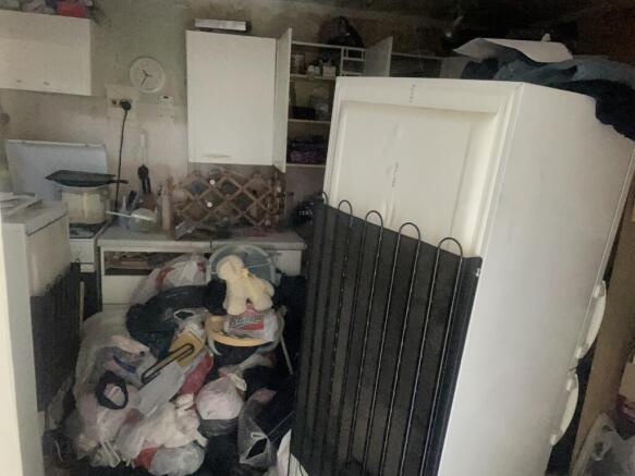 IMG 7290 T202610141628.jpeg
