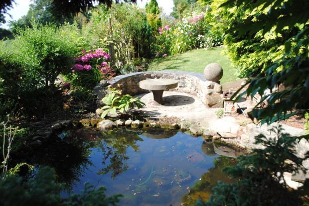 Pond To The Front