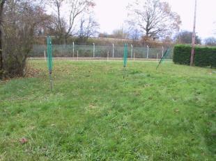 Communal Gardens