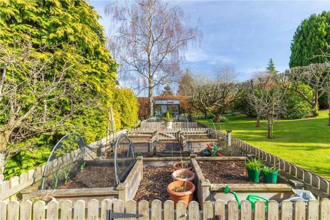 Vegetable Garden