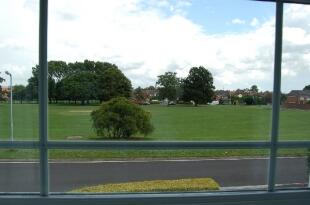 Views of green