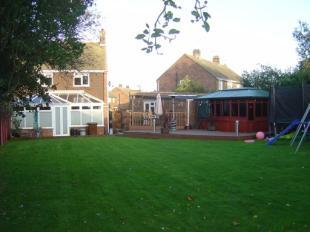 garden2