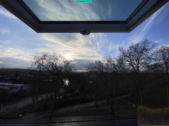 Views of the park