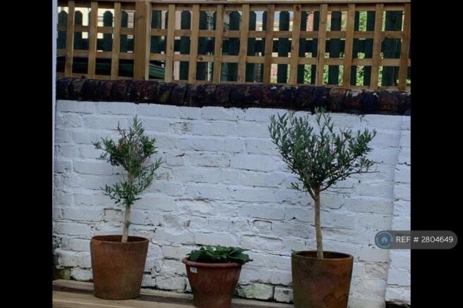 Rear Courtyard Garden