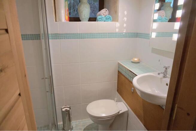Downstairs Shower