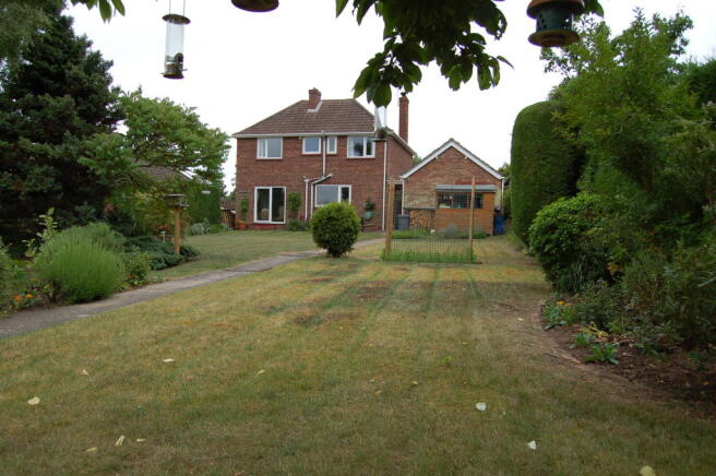 Photo 4
