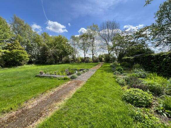 Back garden 2