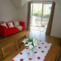 10455254_41502936530