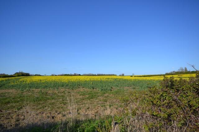 Countryside