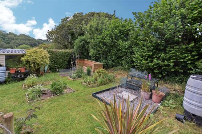 Rear Veg Plot