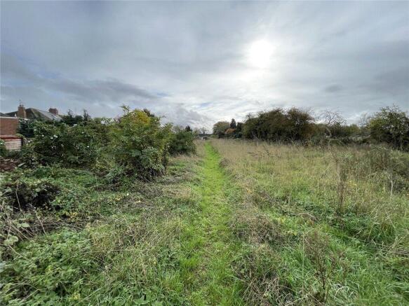 hillside photo 3.jpeg