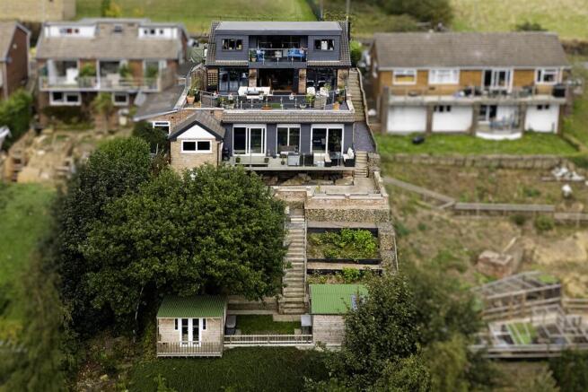 crop1.jpg