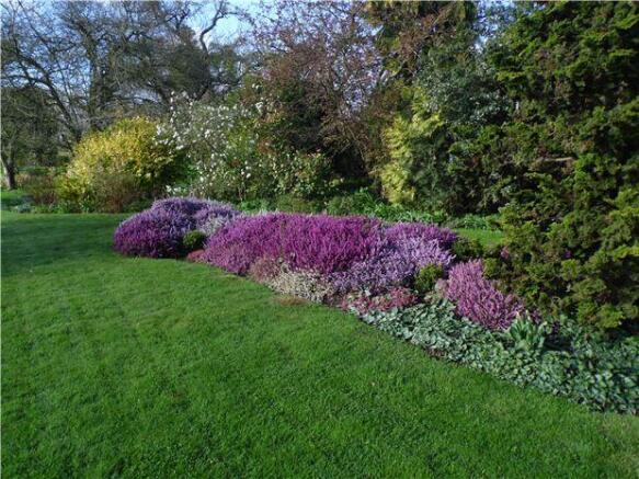 Garden in Bloom