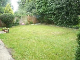 COMMUNAL GARDEN: