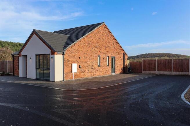 Copper Beech Close-2.jpg