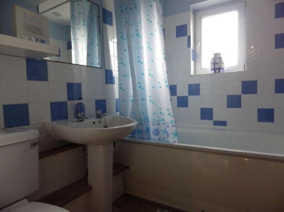 Picture 8