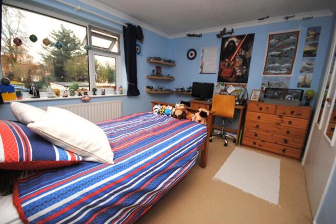 Photo 5