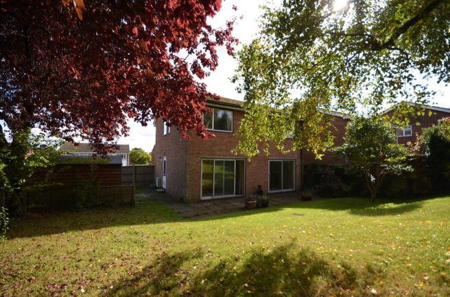 Photo 13