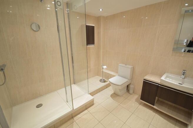 Basement Shower Room