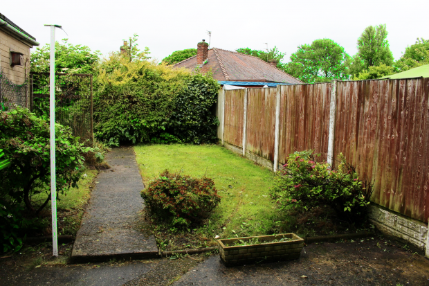 Back Garden 