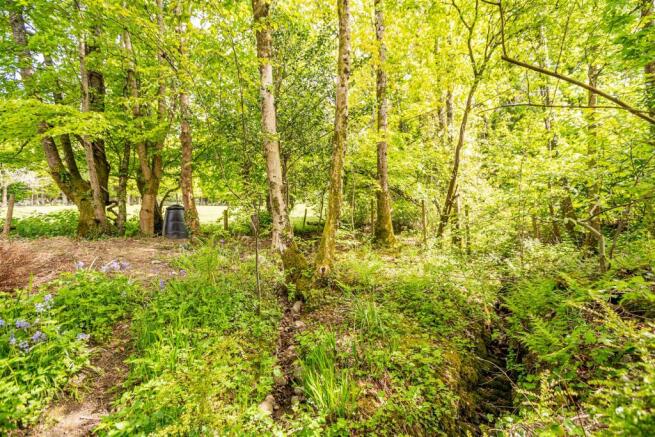 Woodland Beck