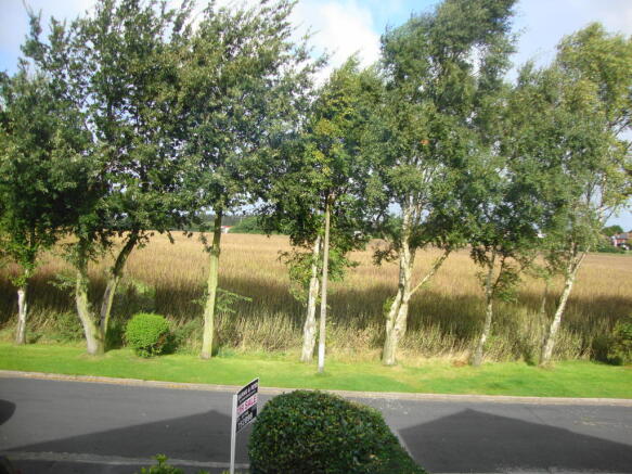 Front Views