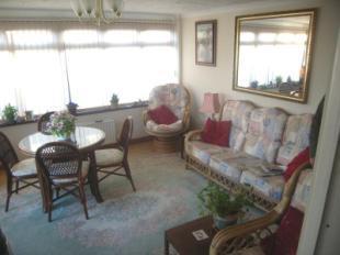 Sun Room/Dining Room