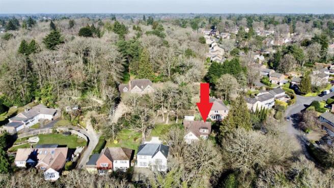 dji_fly_20250304_113336_289_1741093452614_photo_op