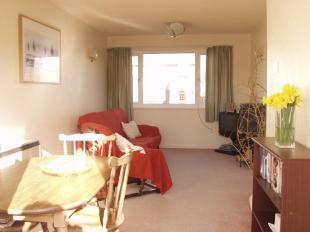 Lounge / Dining Room