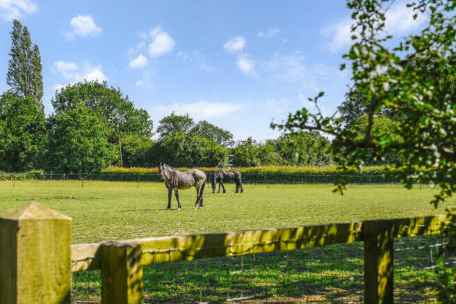 Headcorn Road, Smarden photo 4