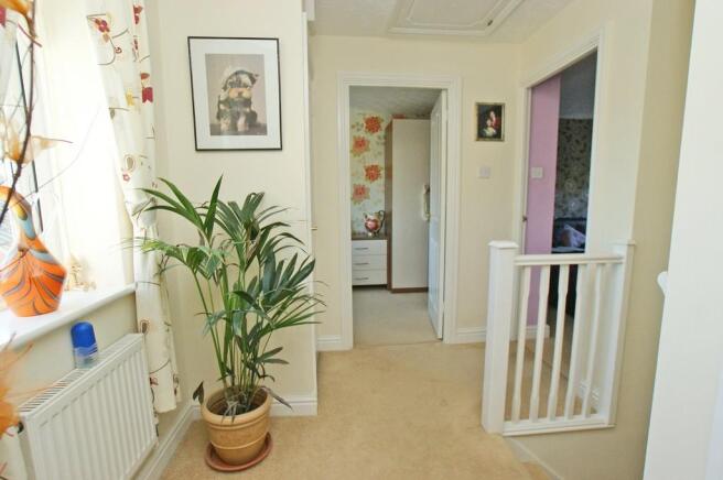 Photo 8