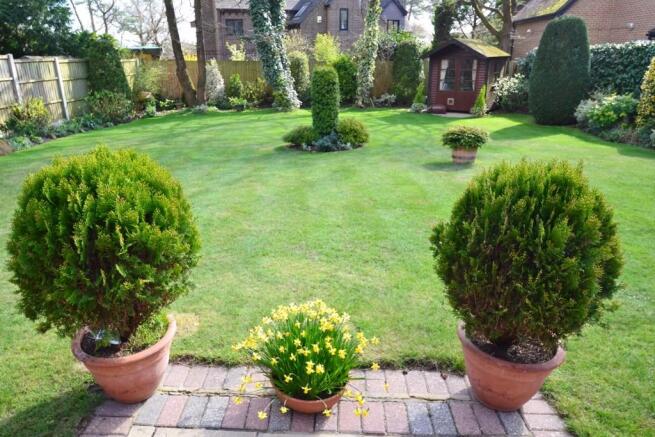 Back garden