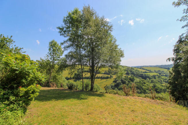 Garden and View