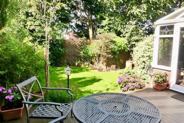 Garden at Back