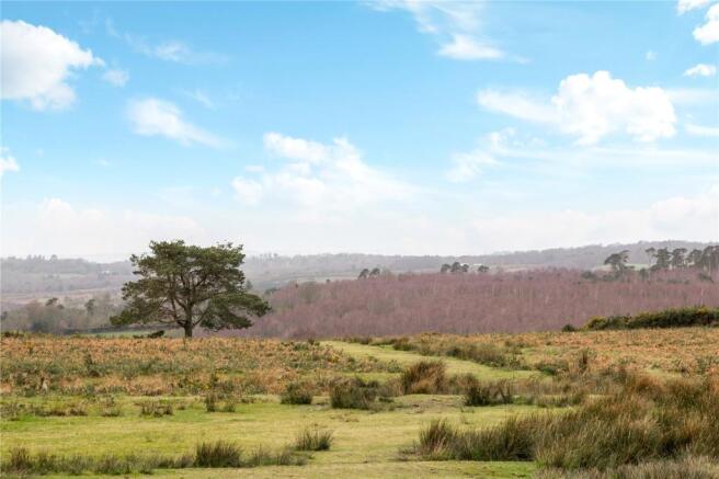 The Ashdown Forest
