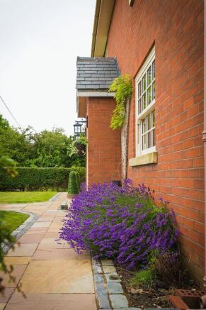 Photo 46