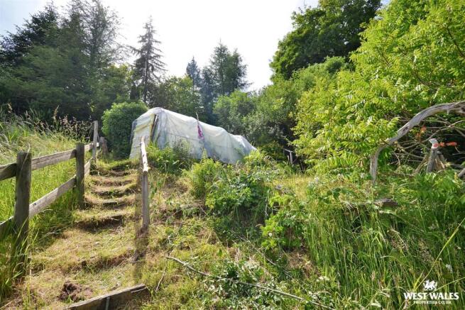 Lower Garden