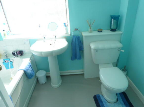 Photo 5