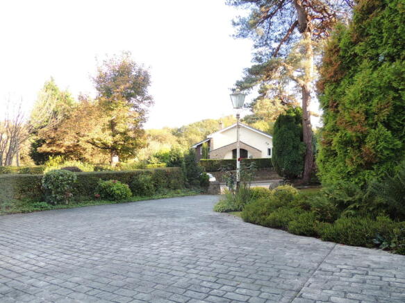 DSCN9067.JPG