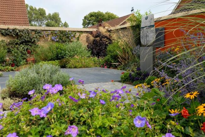 garden shot 4