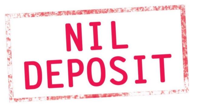 nds logo