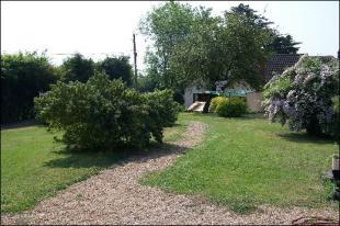 Garden 2