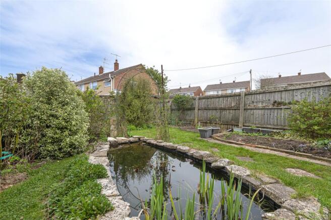 Pond/Garden